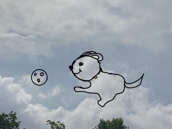 Hund mit Ball